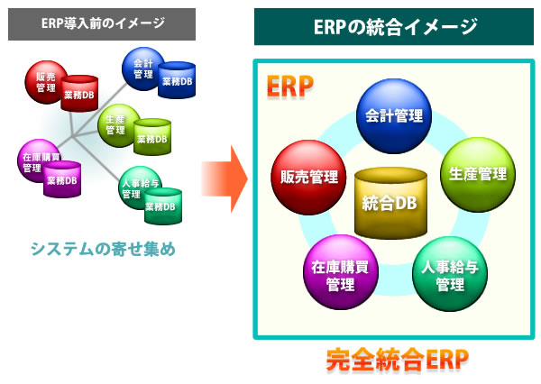 株式会社アクティシステム サービス 事業内